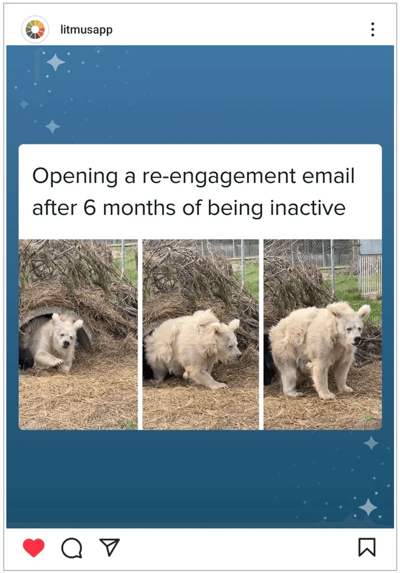 A post on @litmusapp's Instagram of a white bear emerging from hibernation, followed by it 
standing outside, visually representing the caption 'Opening a re-engagement email after 6 months of being inactive.'