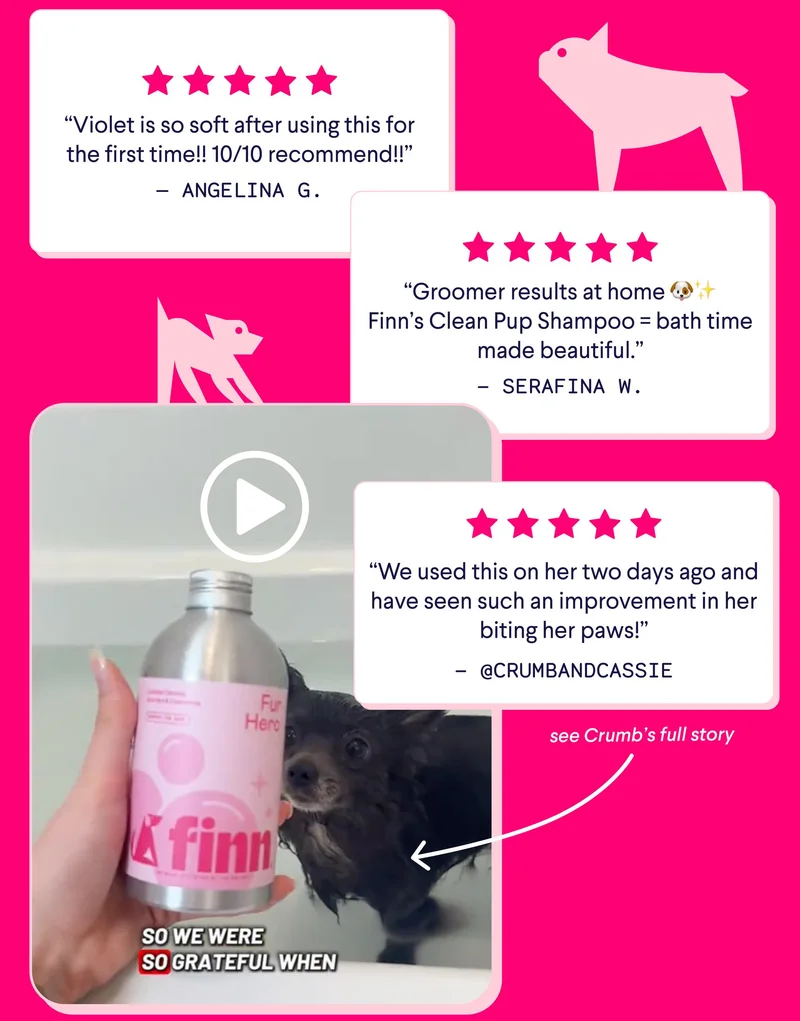 5 star reviews from real customers