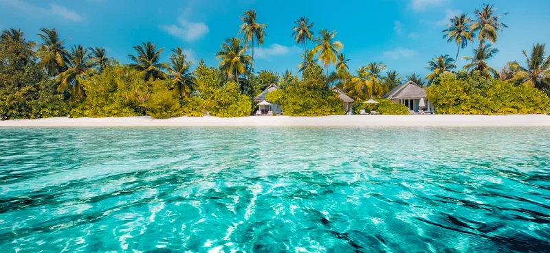 Inspirational tropical beach, palm trees and white sand