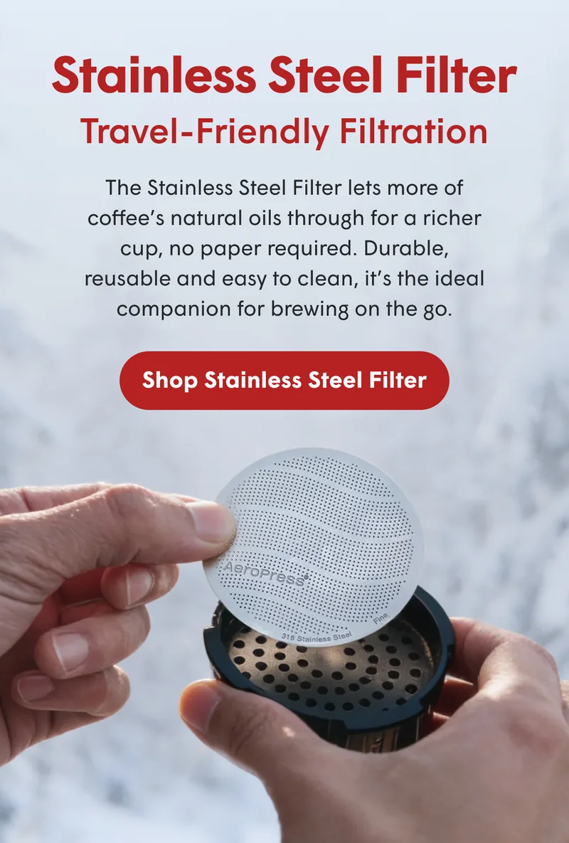 Stainless Steel Filter