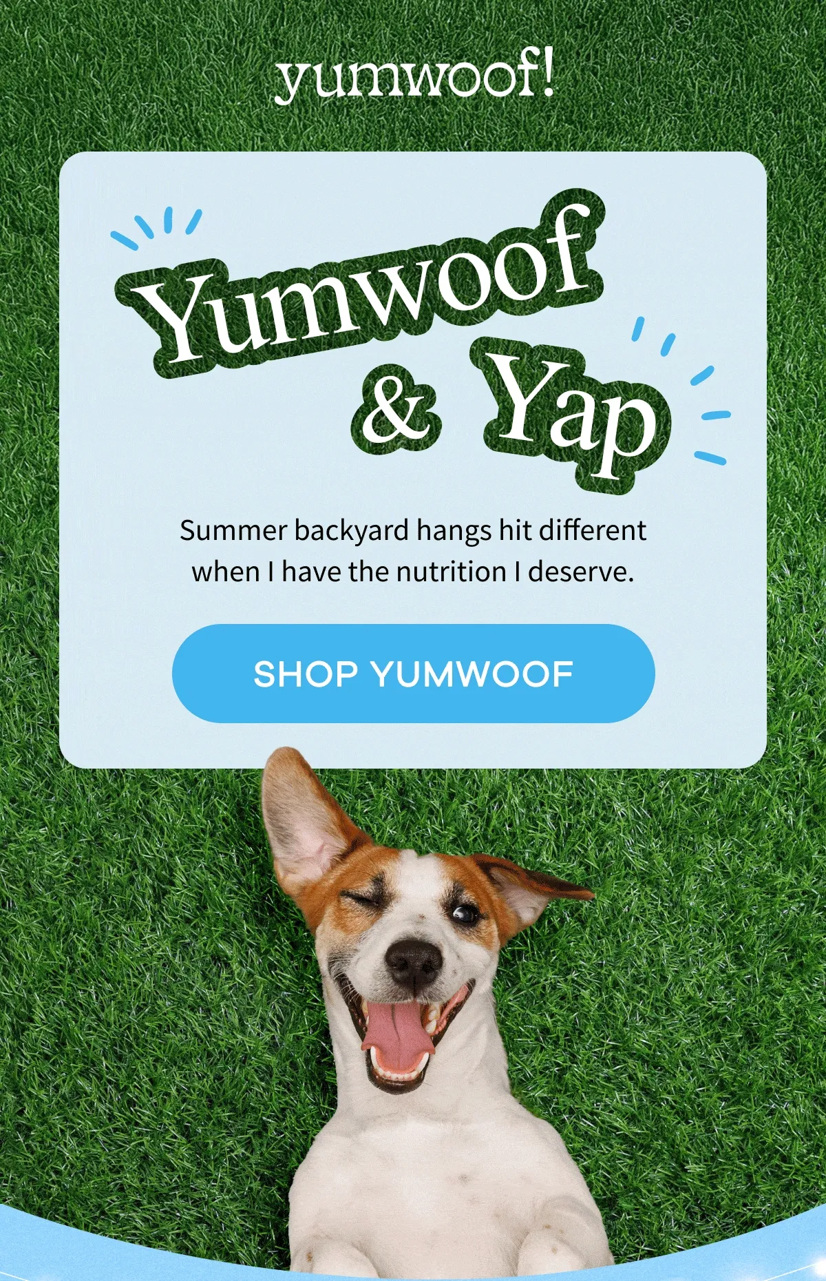 yumwoof! | Yumwoof & Yap | Summer backyard hangs hit different when I have the nutrition I deserve. | SHOP YUMWOOF