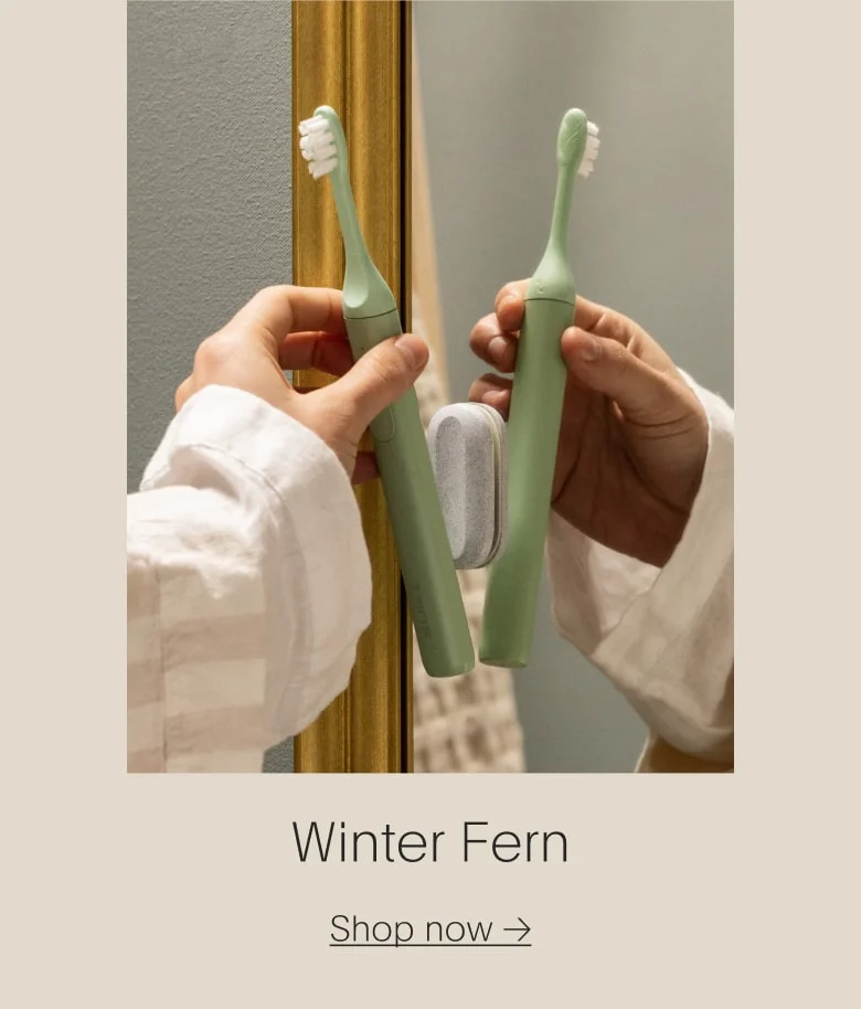 Winter Fern
