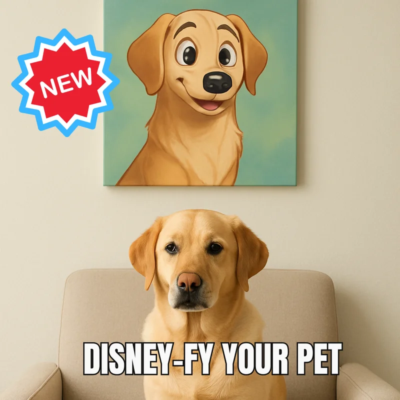 Cartoon your pet Cartoon your pet