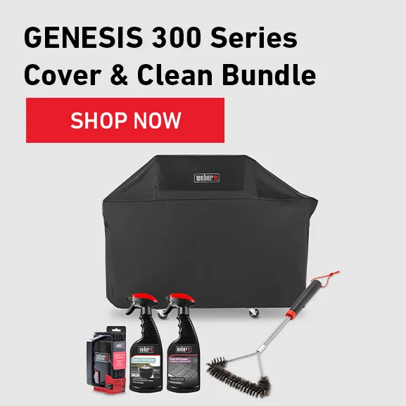 image of the GENESIS 300 Series Cover & Clean Bundle