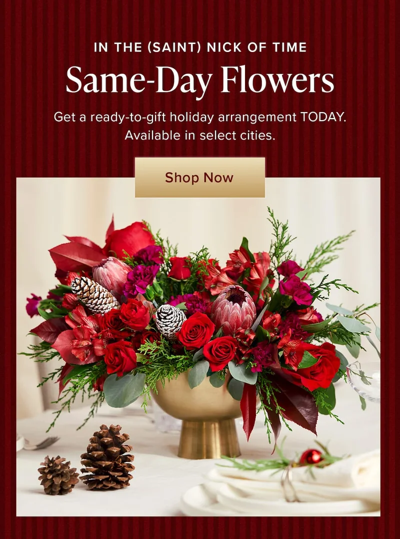 In The (Saint) Nick of Time: Same-Day Flowers. Get a ready-to-gift holiday arrangement TODAY. Available in select cities. Shop Now.