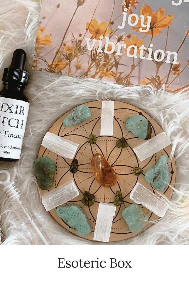 Esoteric WEvolve Box