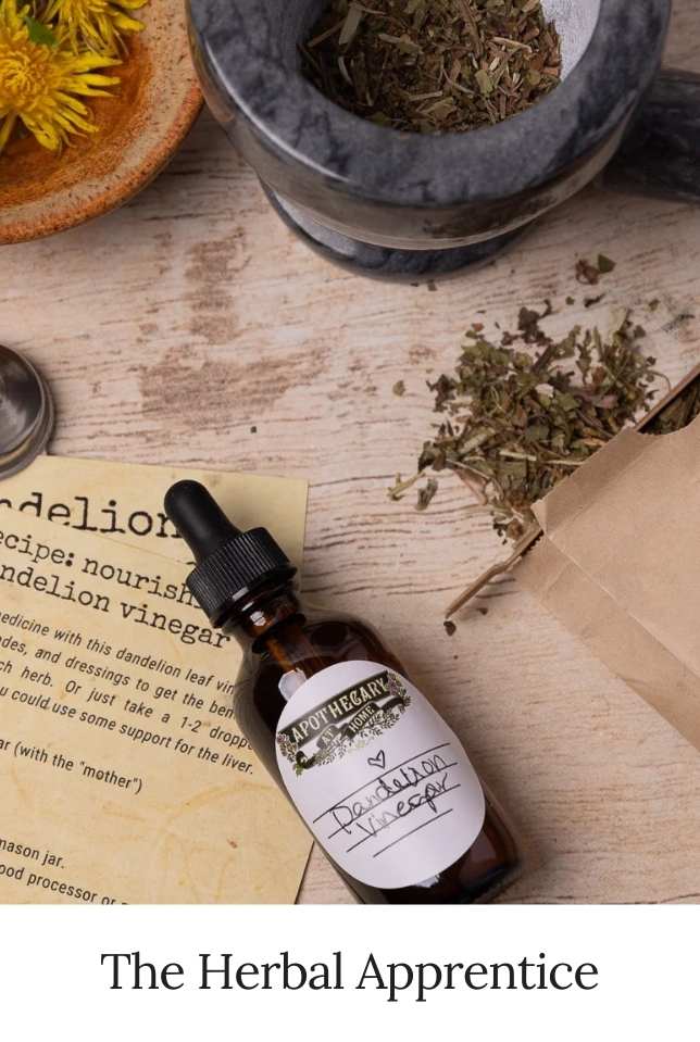 The Herbal Apprentice
