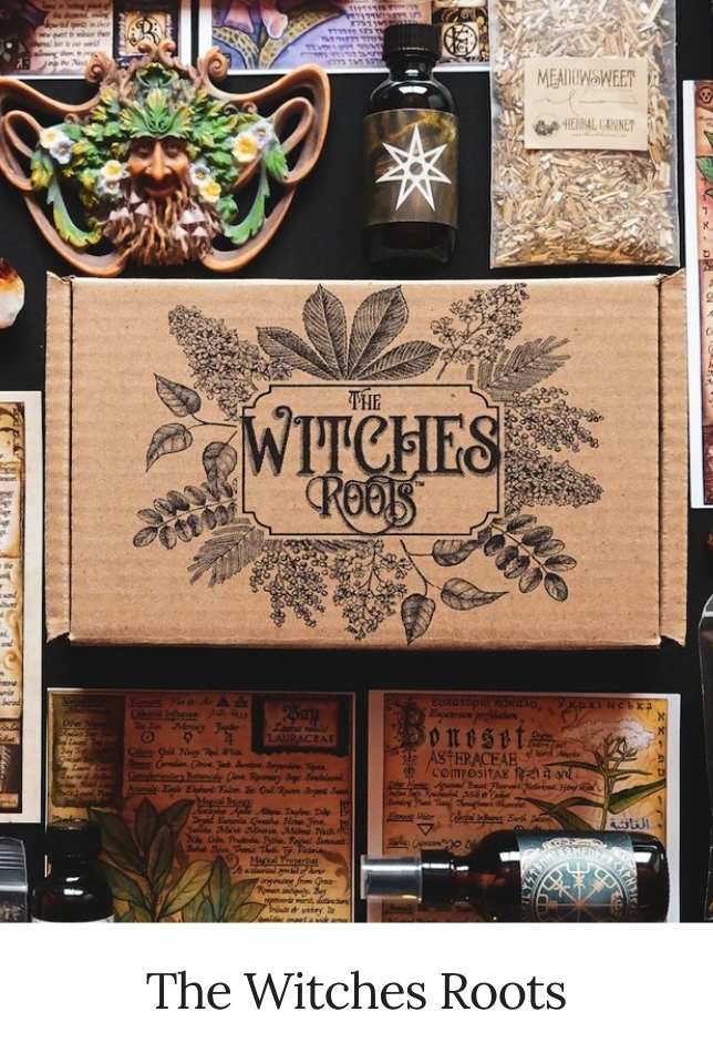 The Witches Roots