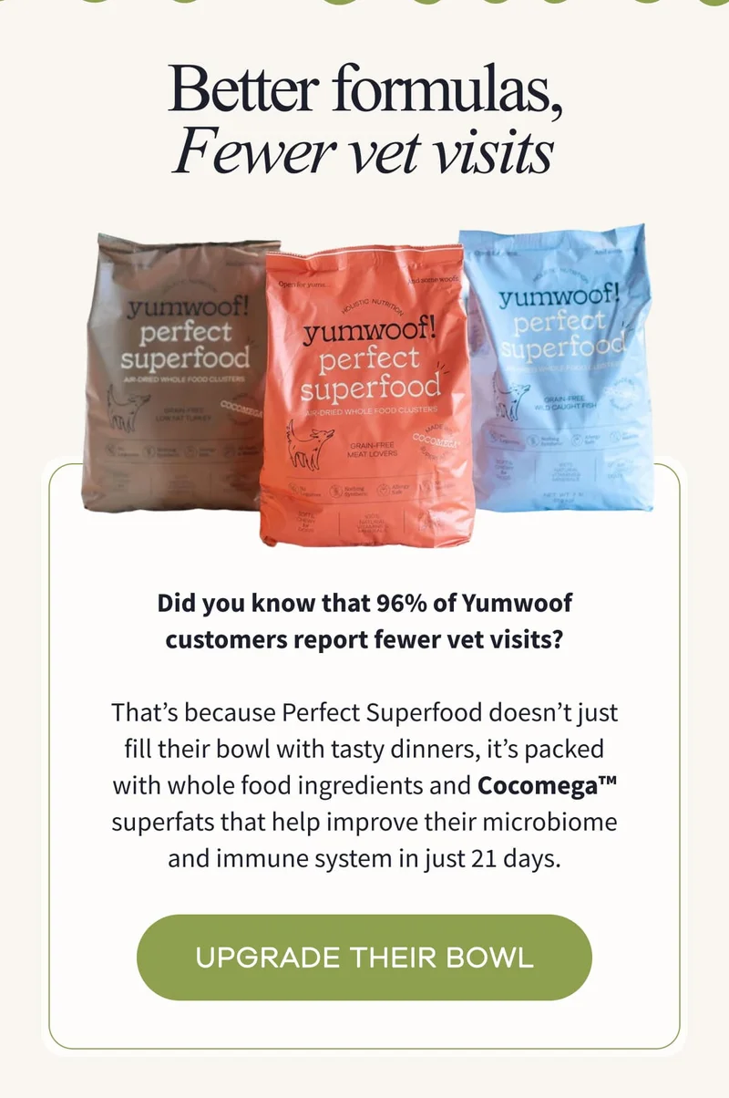 Better Formulas, Fewer Vet Visits | Did you know that 96% of Yumwoof customers report fewer vet visits?  That’s because Perfect Superfood doesn’t just fill their bowl with tasty dinners, it’s packed with whole food ingredients and Cocomega™ superfats that help improve their microbiome and immune system in just 21 days. | UPGRADE THEIR BOWL
