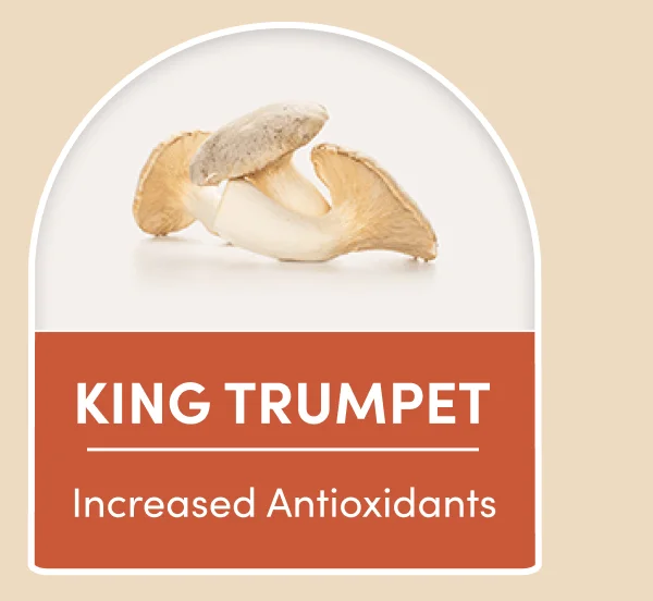 King Trumpet | Increased Antioxidants