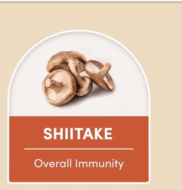 SHIITAKE | Overall Immunity