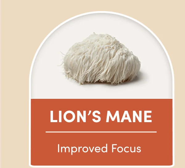 Lion's Mane | Improved Focus