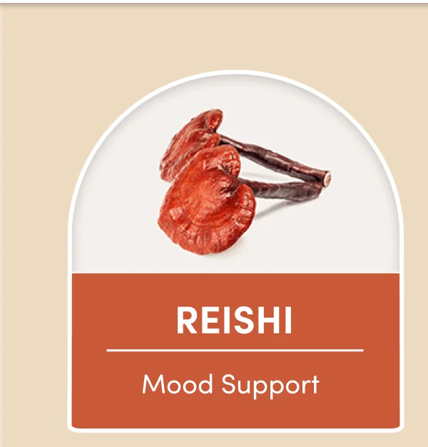 REISHI | Mood Support