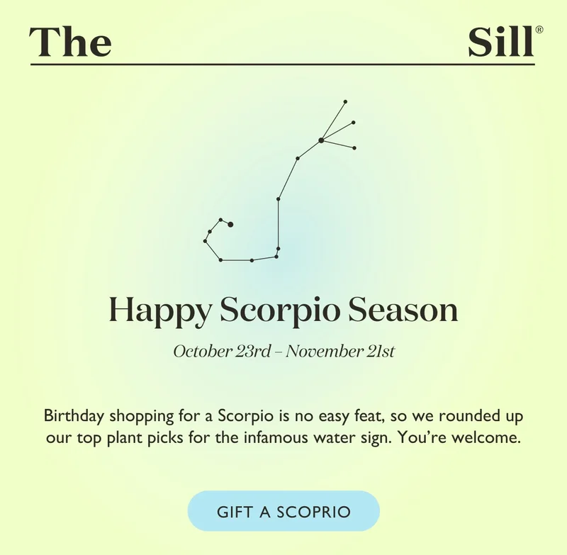 Birthday shopping for a Scorpio is no easy feat, so we rounded up our top plant picks for the infamous water sign. You're welcome.