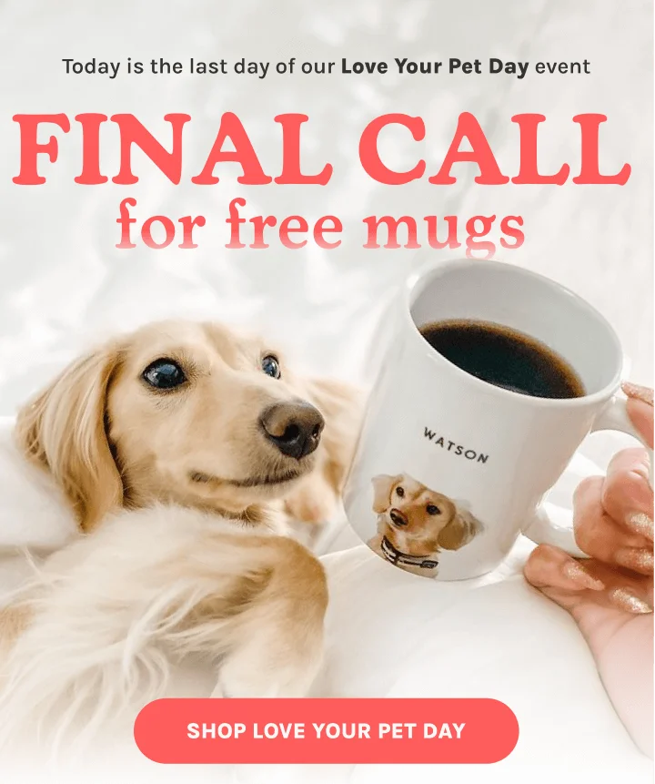 Shop Love Your Pet Day