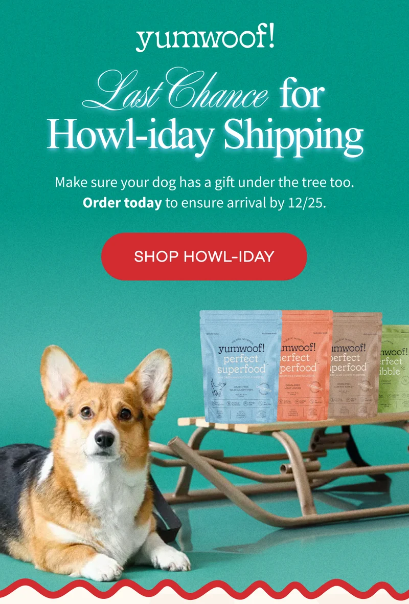 yumwoof! | Last Chance for Howl-iday Shipping | Make sure your dog has a gift under the tree too. Order today to ensure arrival by 12/25. | SHOP HOWL-IDAY