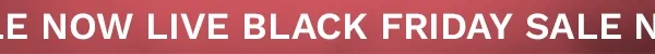 Black Friday Sale