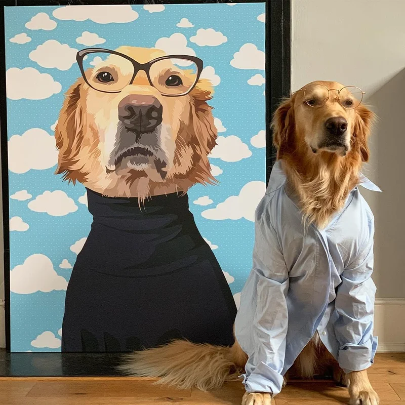 Custom Pet Canva