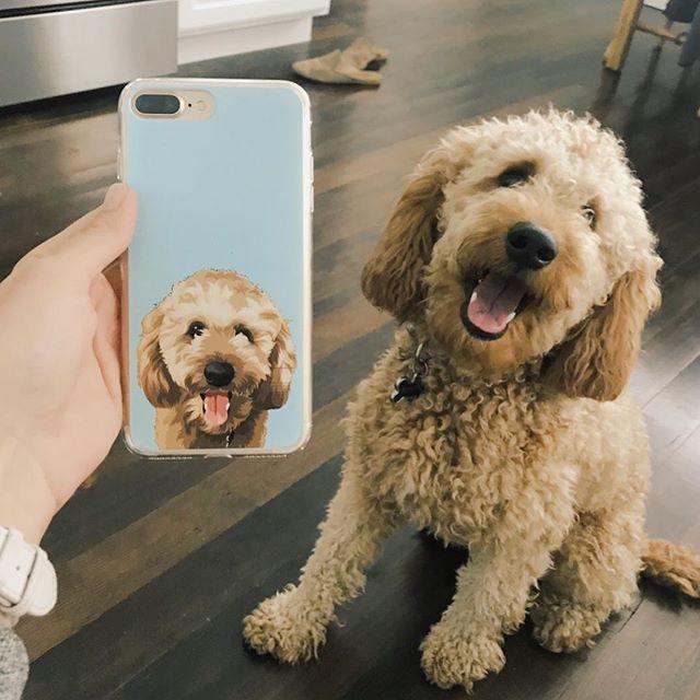 Custom Pet Fleece Blanket
