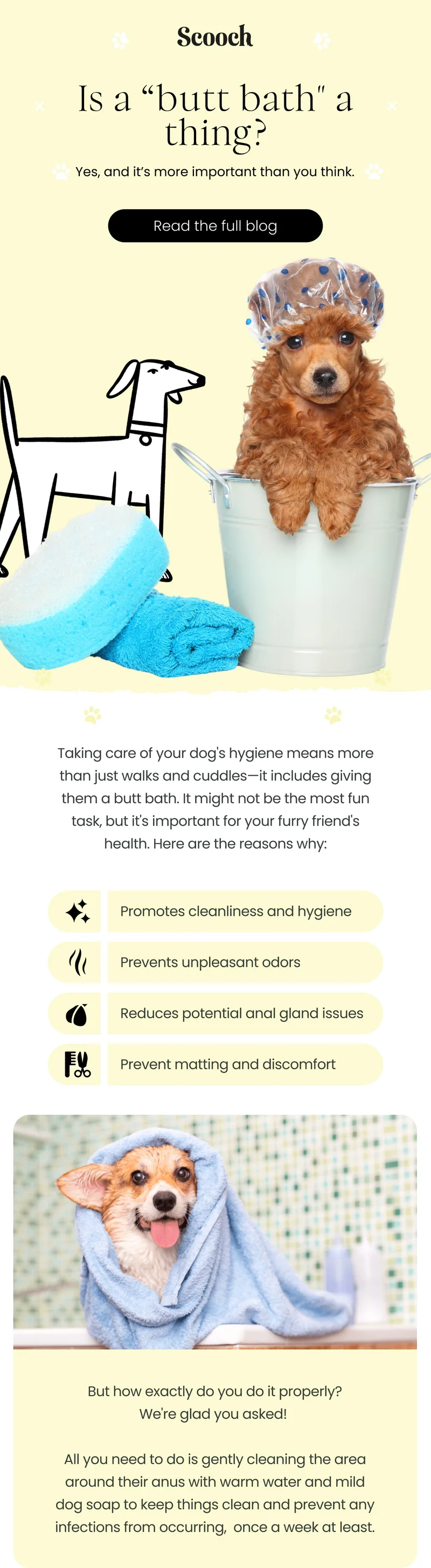Is dog “butt bath" a thing? - Read the full blog
