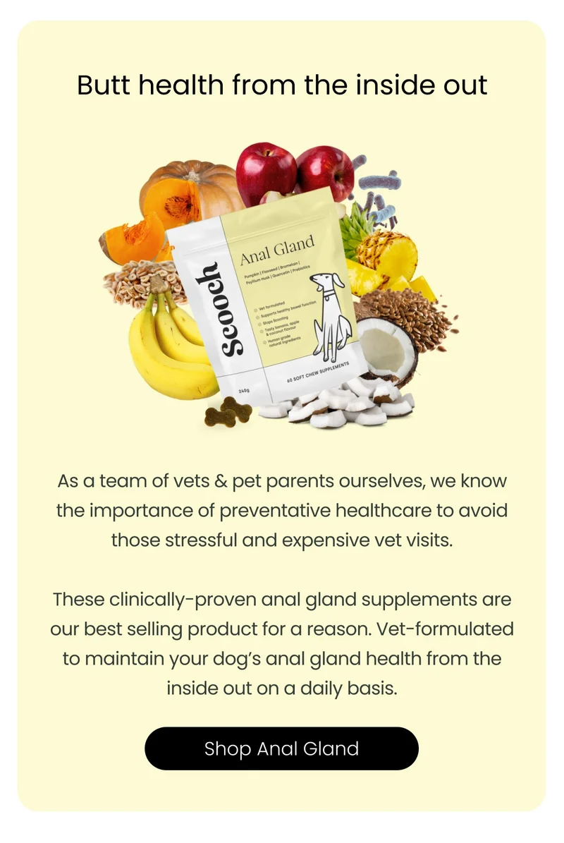 Butt health from the inside out - Shop Anal Gland