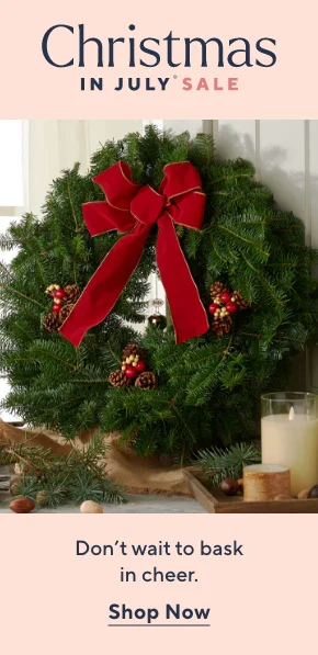 christmas in july sale