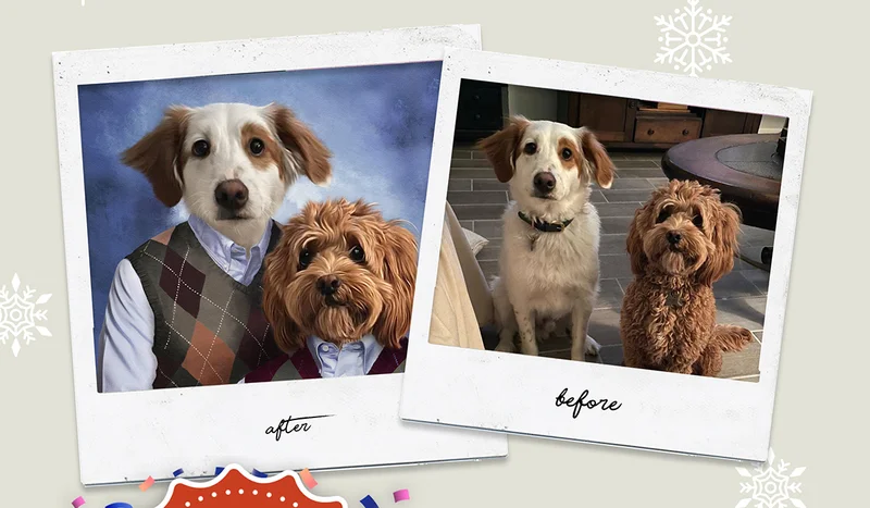 The Stepbrothers Pet Portrait photo to artwork