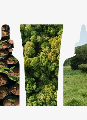 One Purchase = One Tree.