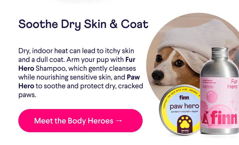 Text: Soothe Dry Skin & Coat Dry, indoor heat can lead to itchy skin and a dull coat. Arm your pup with Fur Hero Shampoo, which gently cleanses while nourishing sensitive skin, and Paw Hero to soothe and protect dry, cracked paws. CTA: Meet the Body Heroes →