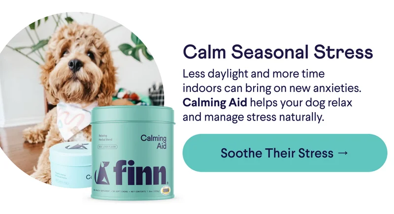 Text: Calm Seasonal Stress Less daylight and more time indoors can bring on new anxieties. Calming Aid helps your dog relax and manage stress naturally. CTA: Soothe Their Stress →