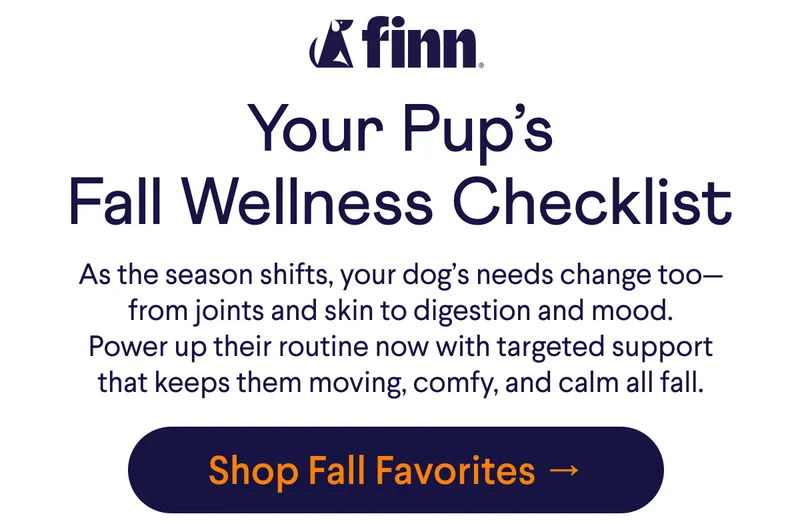 Text: Your Pup’s Fall Wellness Checklist As the season shifts, your dog’s needs change too—from joints and skin to digestion and mood. Power up their routine now with targeted support that keeps them moving, comfy, and calm all fall. CTA: Shop Fall Favorites →