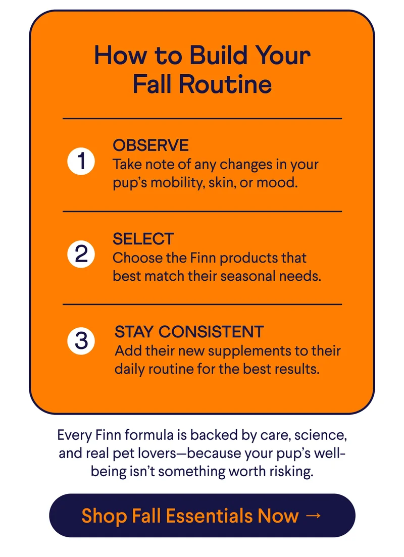 Text: How to Build Your Fall Routine 1. OBSERVE Take note of any changes in your pup’s mobility, skin, or mood. 2. SELECT Choose the Finn products that best match their seasonal needs. 3. STAY CONSISTENT Add their new supplements to their daily routine for the best results. Every Finn formula is backed by care, science, and real pet lovers—because your pup’s well-being isn’t something worth risking. CTA: Shop Fall Essentials Now →