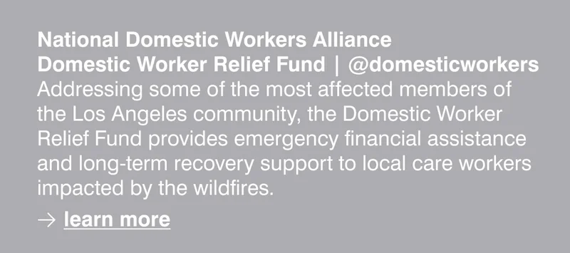 National Domestic Workers Alliance - Domestic Worker Relief Fund | @domesticworkers Addressing some of the most affected members of the Los Angeles community, the Domestic Worker Relief Fund provides emergency financial assistance and long-term recovery support to local care workers impacted by the wildfires.