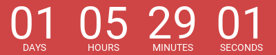 Timer before sale ends