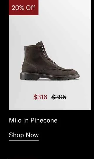 Milo in Pinecone. Shop Now