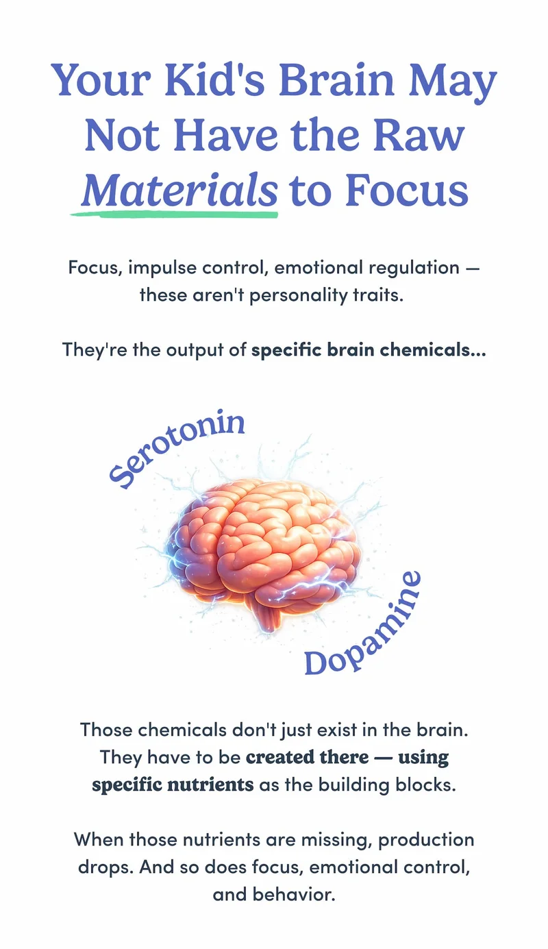 Your Kid's Brain May Not Have the Raw Materials to Focus