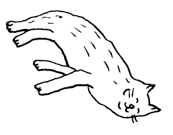 A line drawing of a sleeping cat