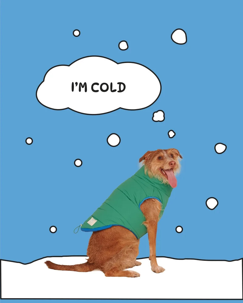 I'm cold