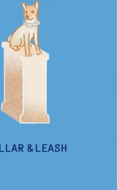 Collar & Leash