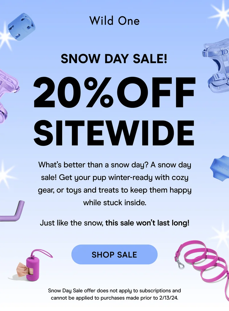 Flash Sale