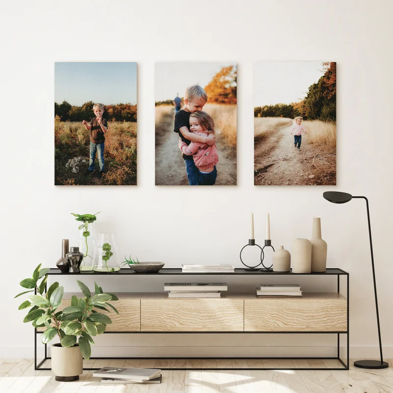 Canvas prints of siblings.