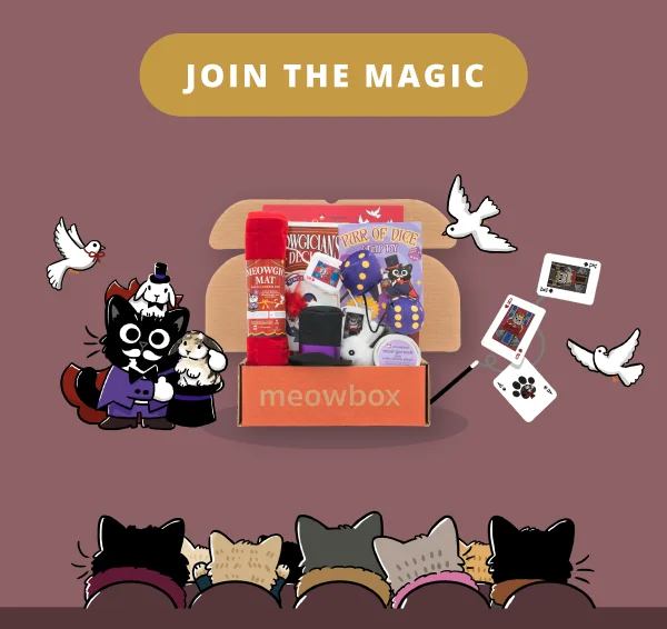 Join the magic! Image of the Meowgical Marvels meowbox (featuring toys like the Meowgic Mat, Purr of Dice 2-pack, Meowgician's Deck Wand and more)