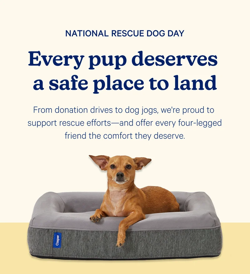 National Rescue Dog Day; Every pup deserves a safe place to land; From donation drives to dog jogs, we're proud to support rescue efforts—and offer every four-legged friend the comfort they deserve.
