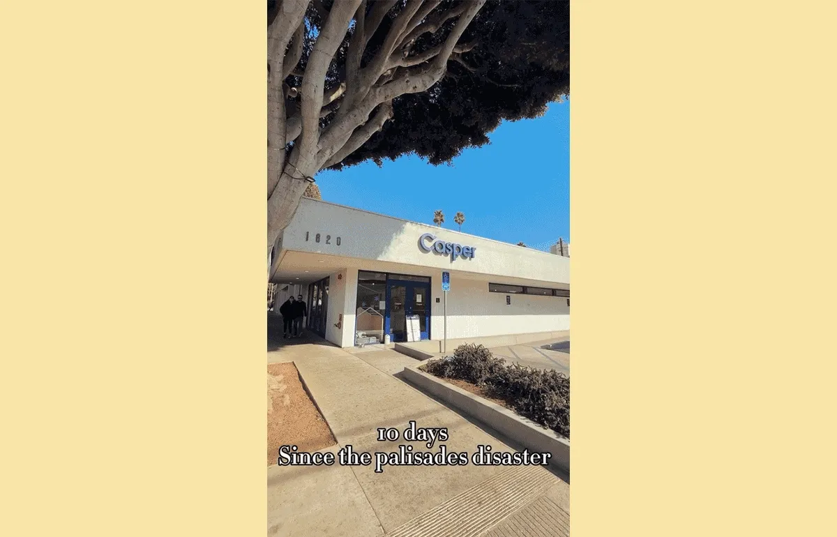 Rescue efforts, powered by our community; This year, we've opened our Santa Monica store as a donation hub for pets displaced by wildfires and supported Femme Felines' rescue efforts in the Palisades.