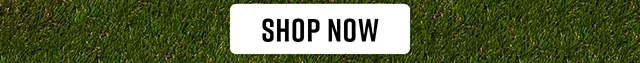 Animal Crossing Shop Now