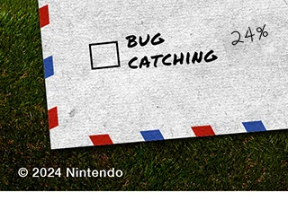Bug Catching