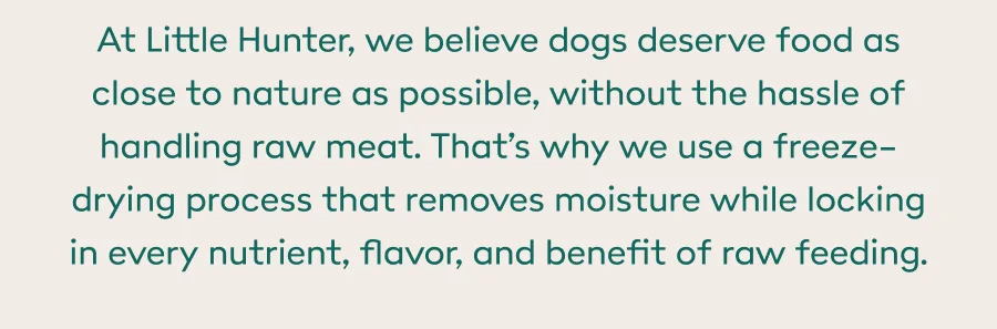 At Little Hunter, we believe dogs deserve food as close to nature as possible, without the hassle of handling raw meat. That’s why we use a freeze-drying process that removes moisture while locking in every nutrient, flavor, and benefit of raw feeding.
