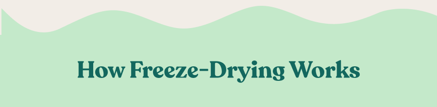 How Freeze Drying Works