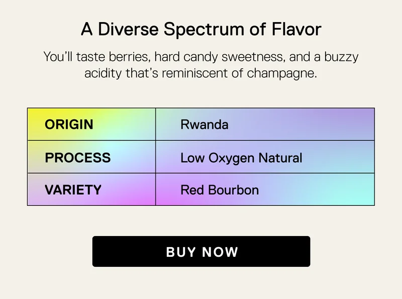 A Diverse Spectrum of Flavor. You'll taste berries, hard candy sweetness, and a buzzy acidity that's reminiscent of champage.