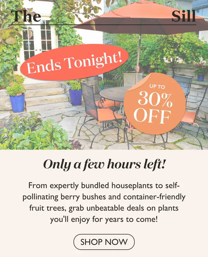 Ends Today! Shop Labor Day Sale!